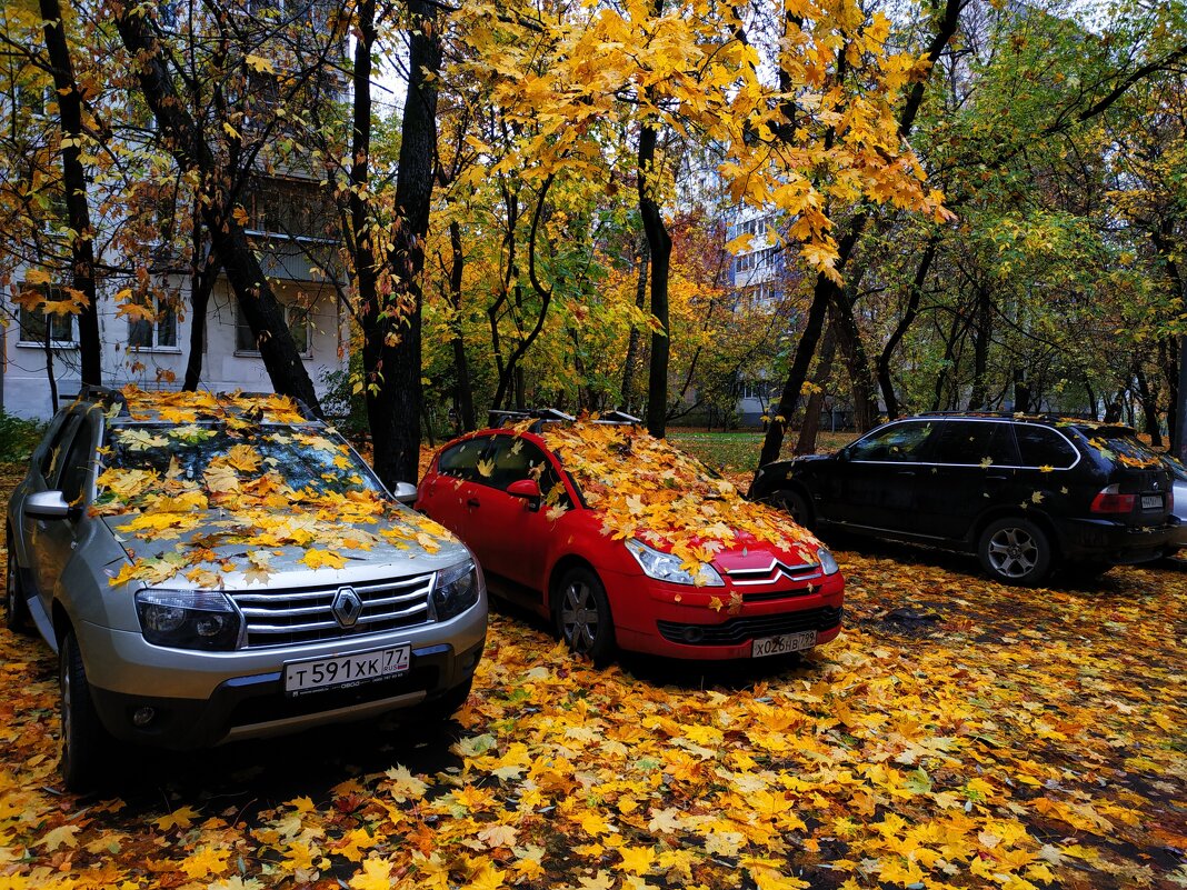 Закрытие велосезона (завтра - операция по удалению пластины из руки) - Андрей Лукьянов