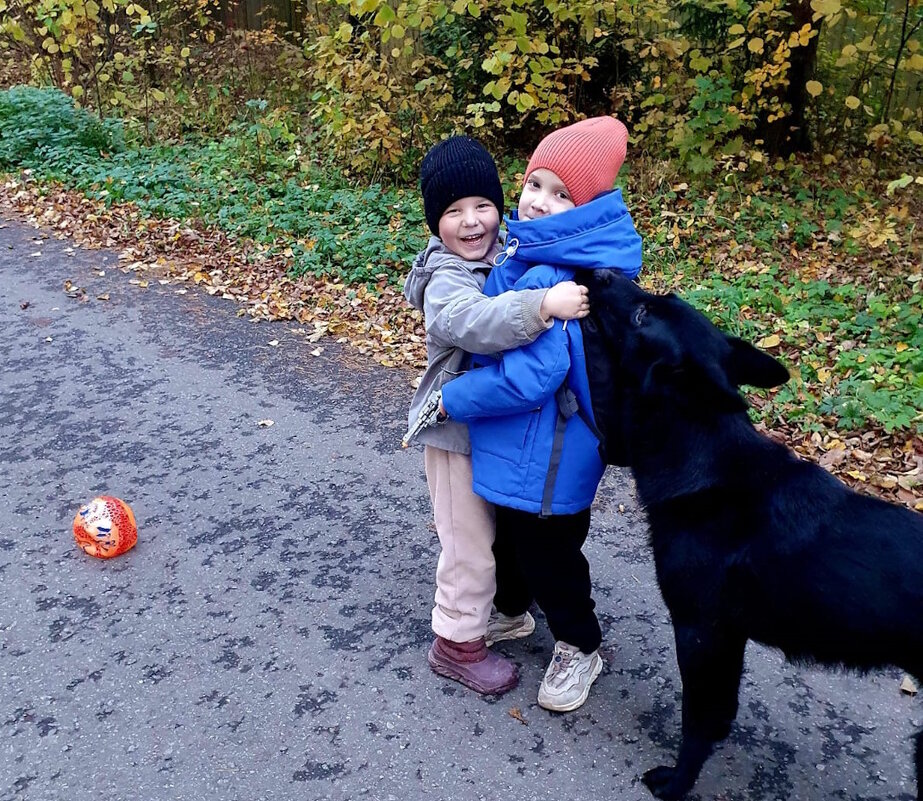 Встреча друзей - Ольга Довженко Встреча друзей - Ольга Довженко