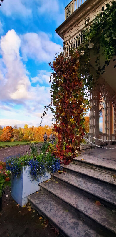 На крылечке - Хватова Марина На крылечке - Хватова Марина