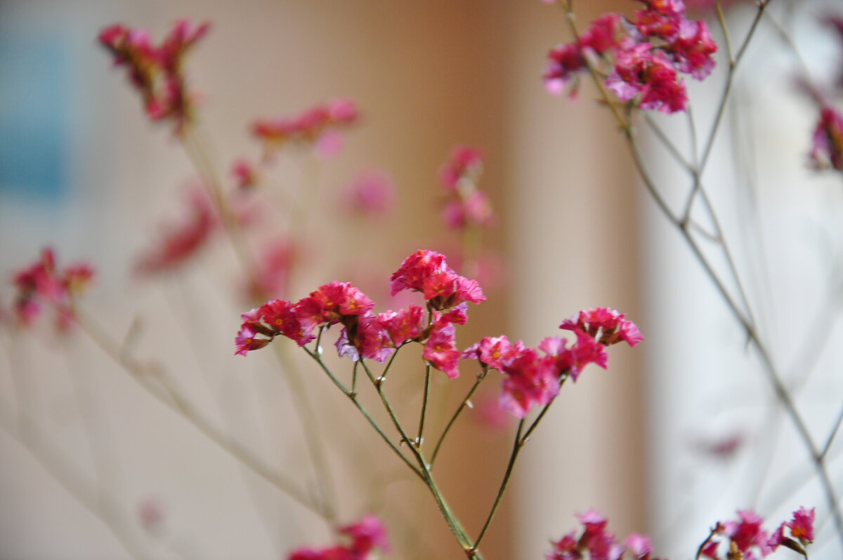 Украшение - Александр Конов