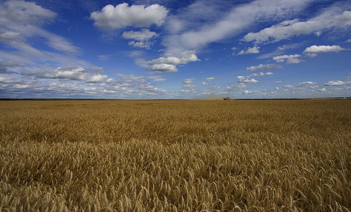 Уходящее лето - Олег Денисов Уходящее лето - Олег Денисов