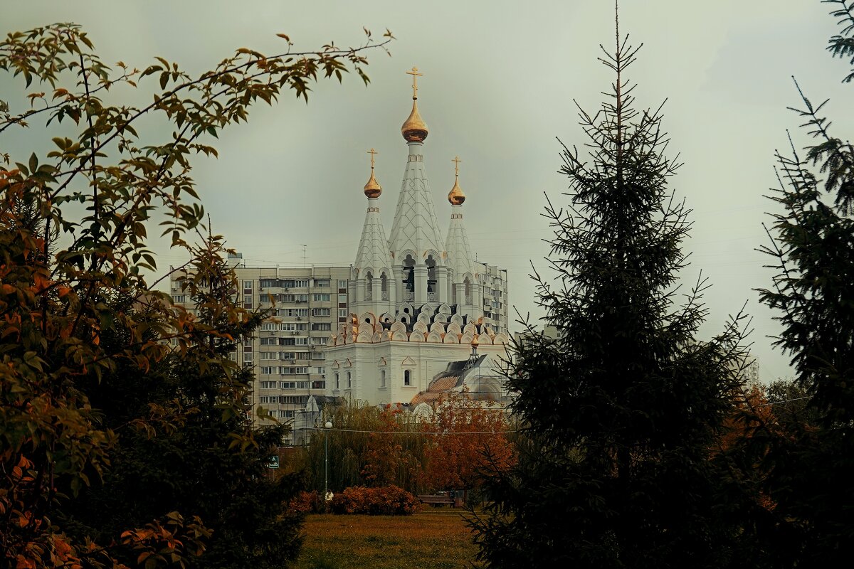 Трехшатровый храм в парке им. Артёма Боровика будет готов в 2026 году - Татьяна Помогалова