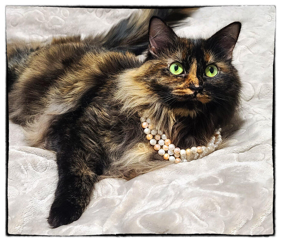 Муся - Анна Пугач