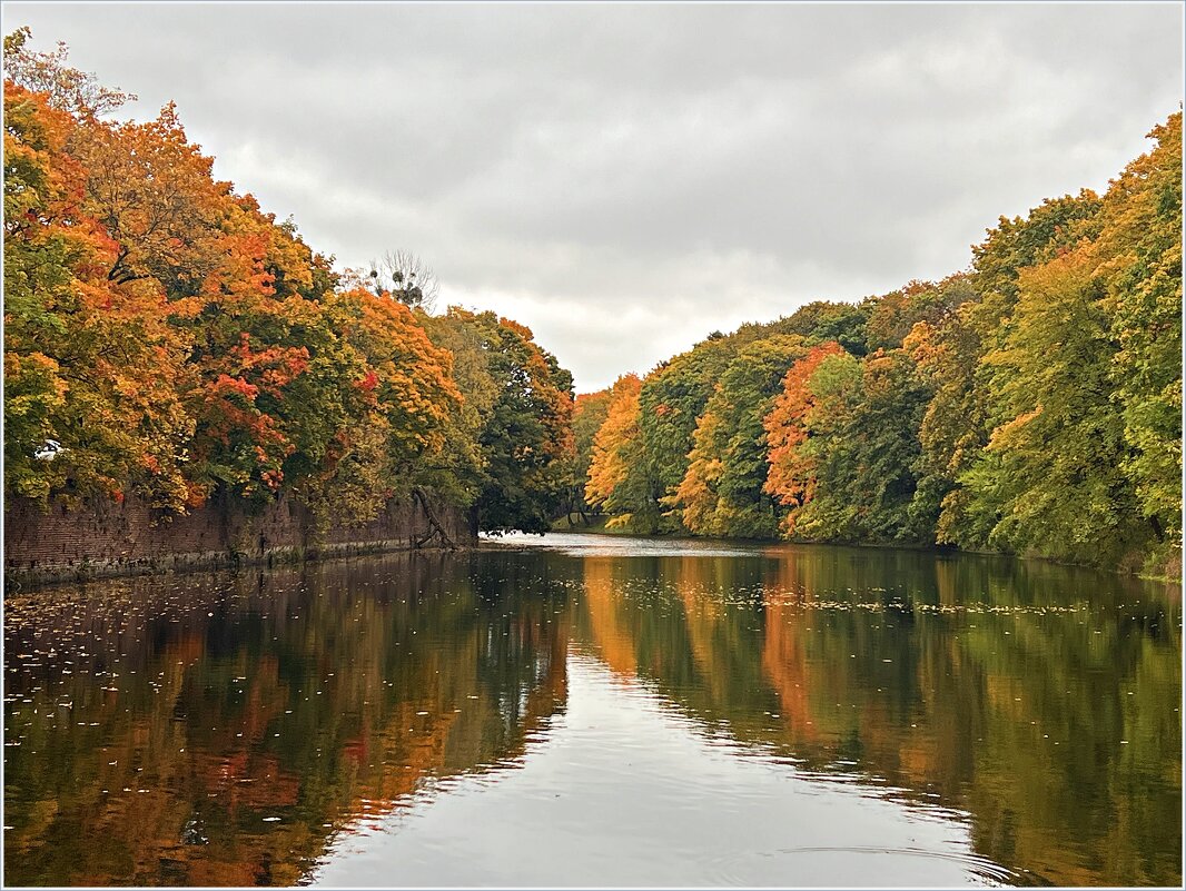 Парковый пруд. - Валерия Комова