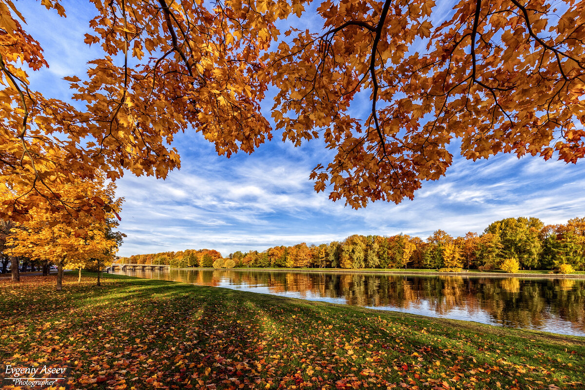 Настроение - осень - Евгений 