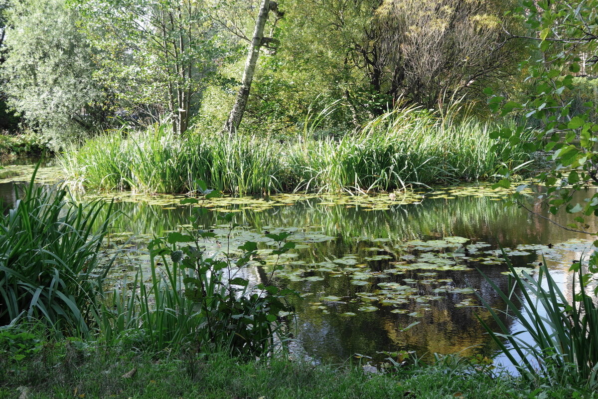 Картинки осени - Рита Симонова Картинки осени - Рита Симонова