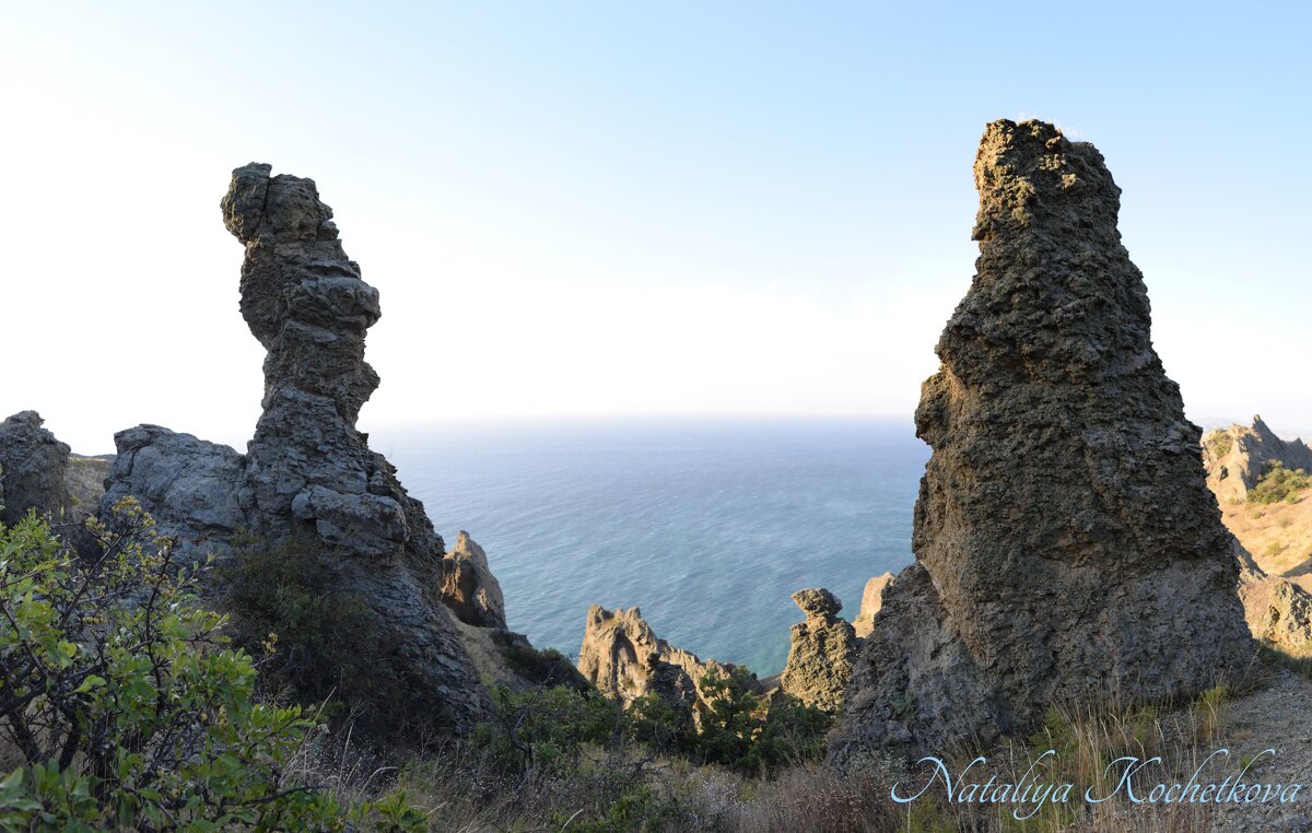 Природа Крыма - Amazing Cosmea