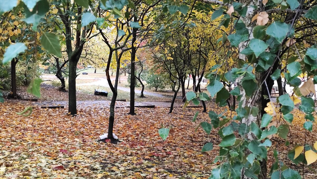 ,,, - Сергей Тимоновский