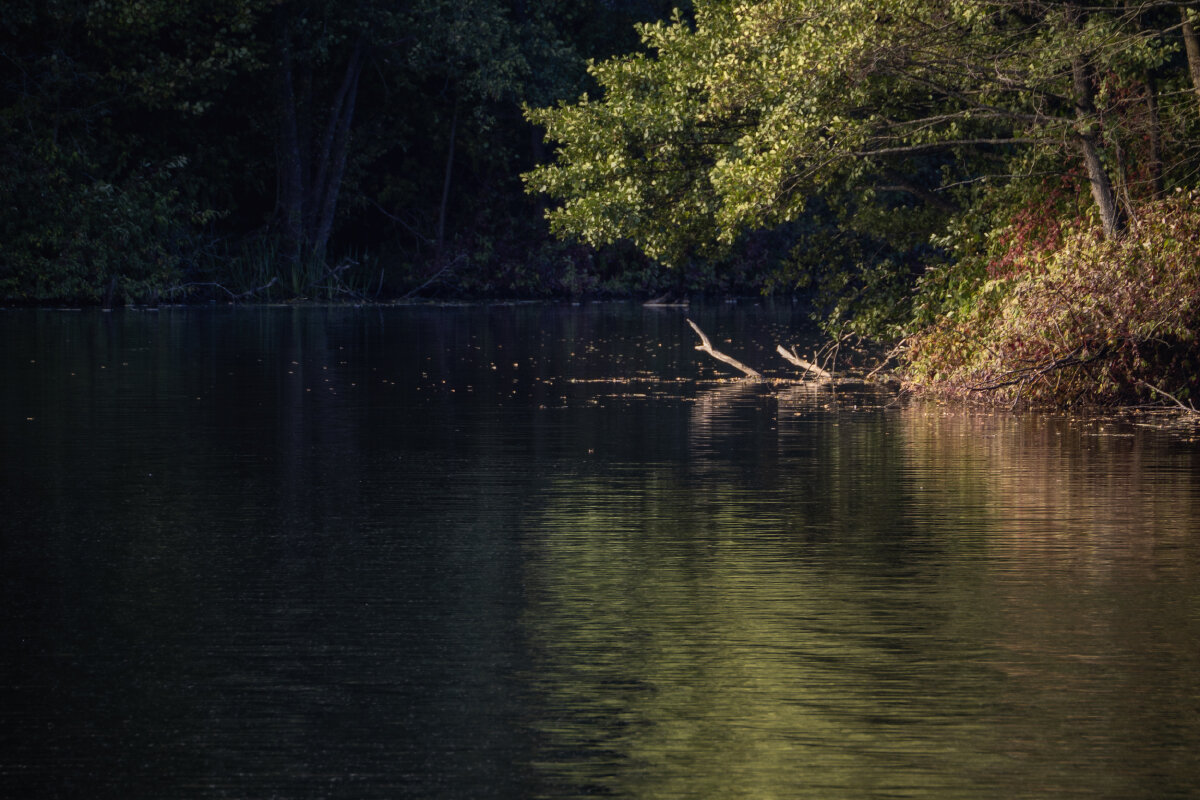 Заводь - Владимир 