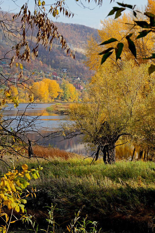 Осень - MILAV V