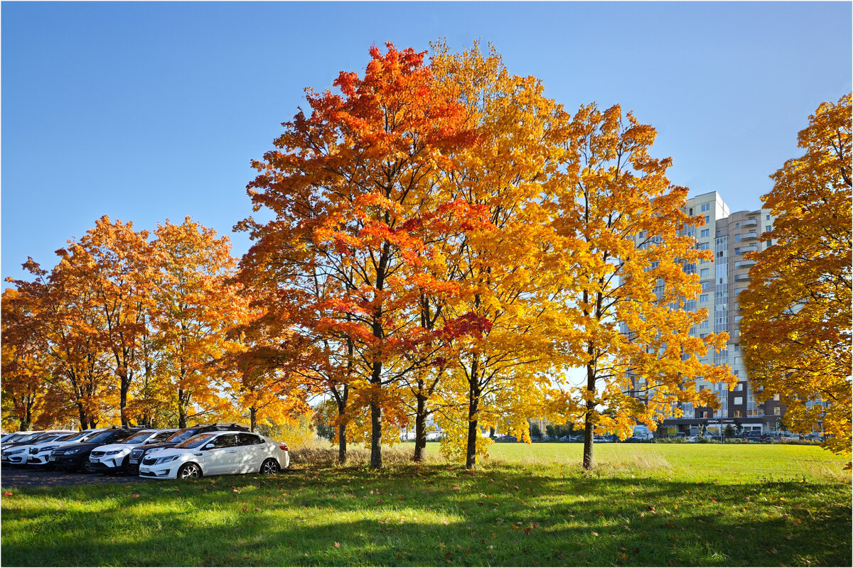 Осень наступает... - Анатолий ИМХО