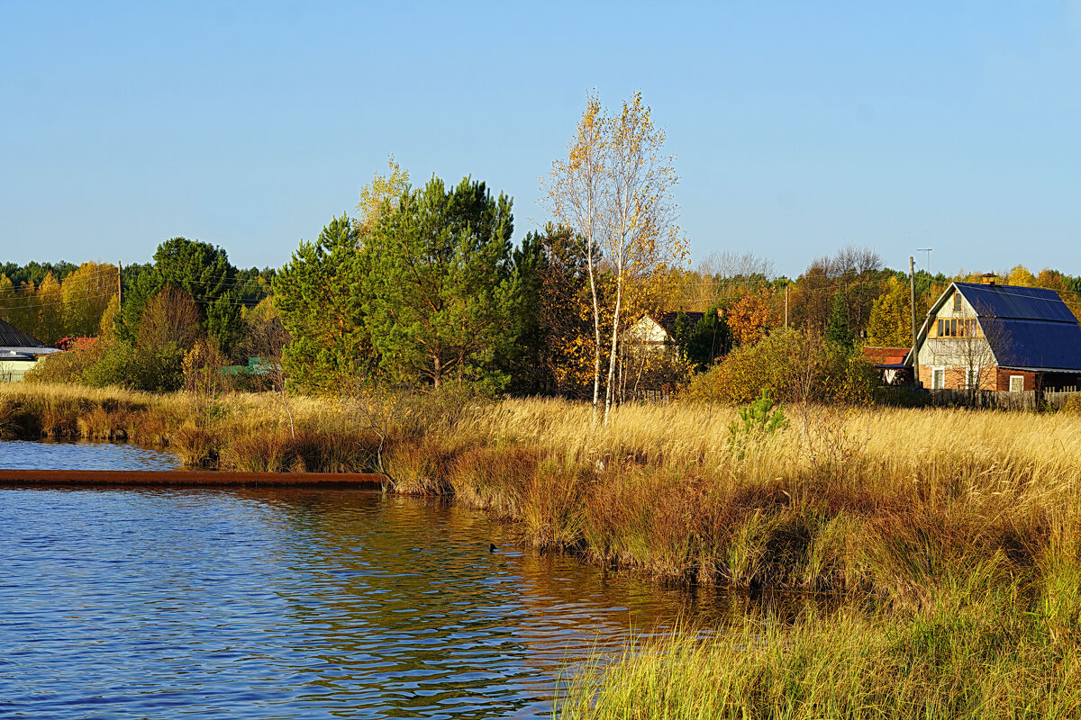 Берёзка - Галина Кан