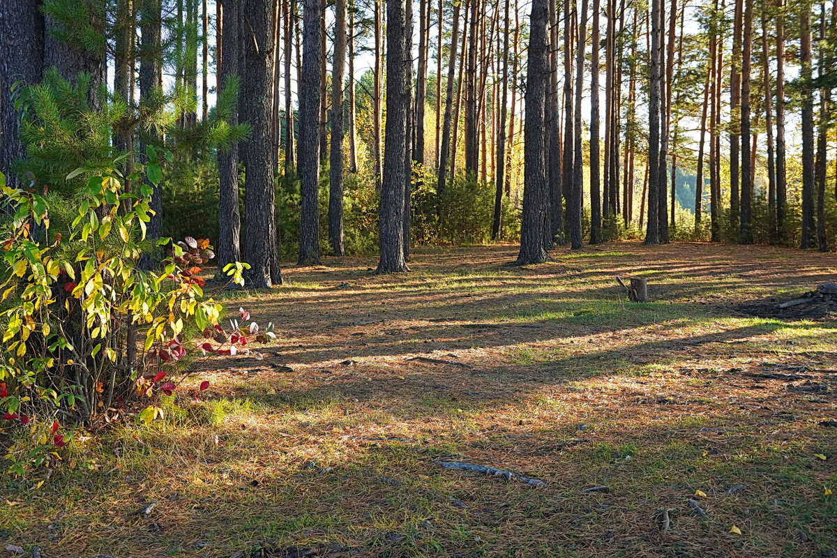 Осенним утром на острове - Галина Кан