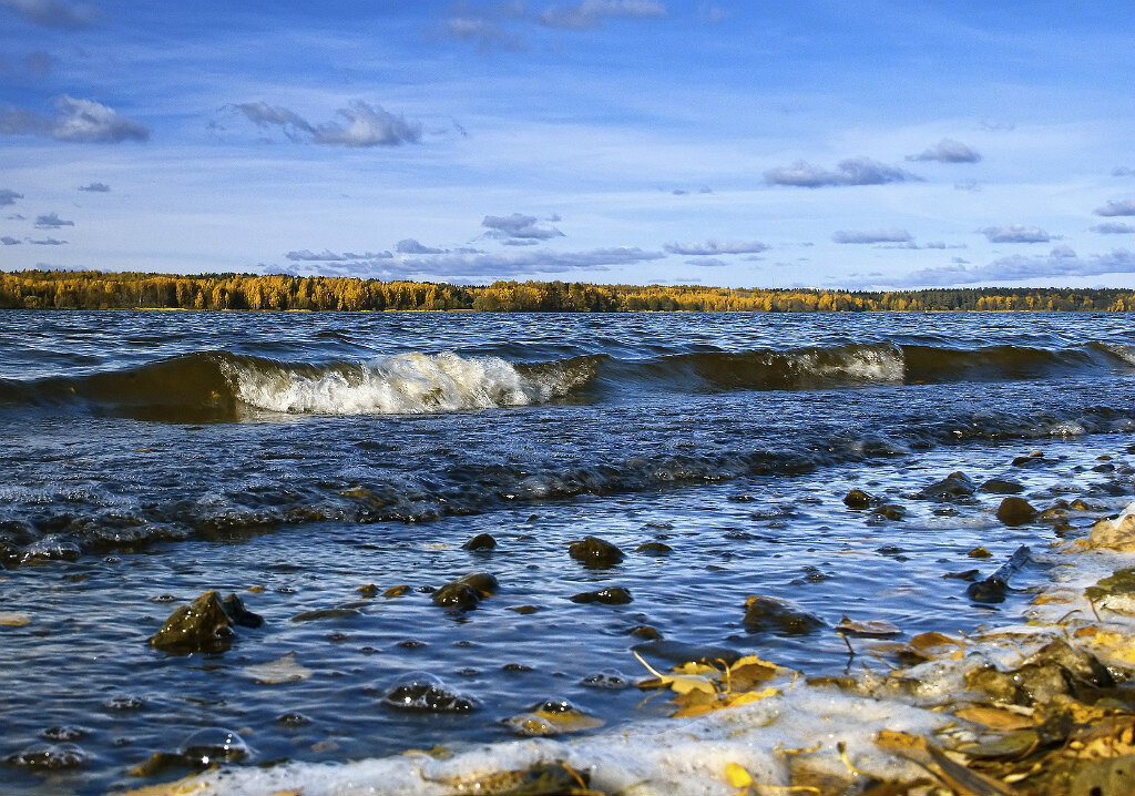 Осенняя Волга - Дмитрий Балашов