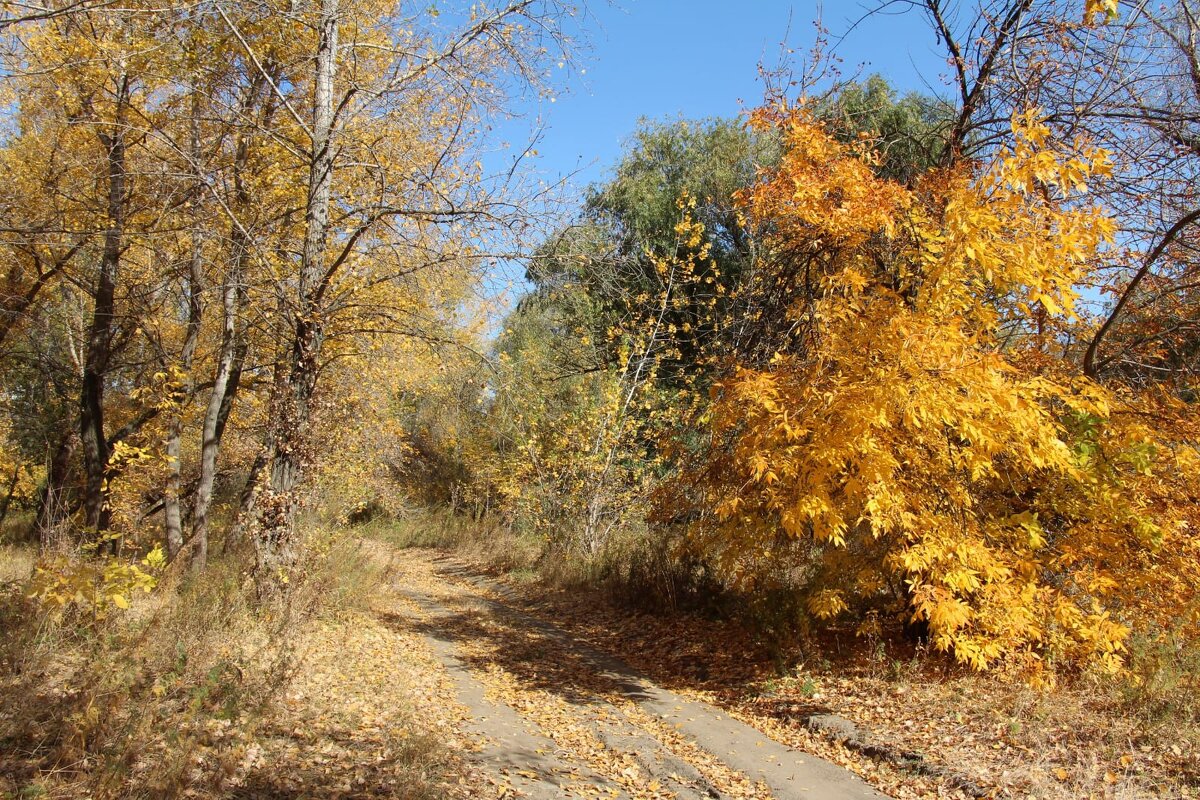 По осеннимъ дорогамъ - Олегъ Петрович