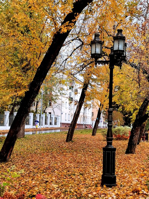 *** - Любимова Ольга 