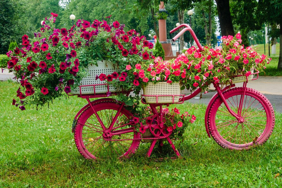 Лето - Галина Ложечникова