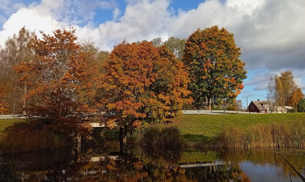 Осенние фотозарисовки  .. - Татьян@ Ивановна