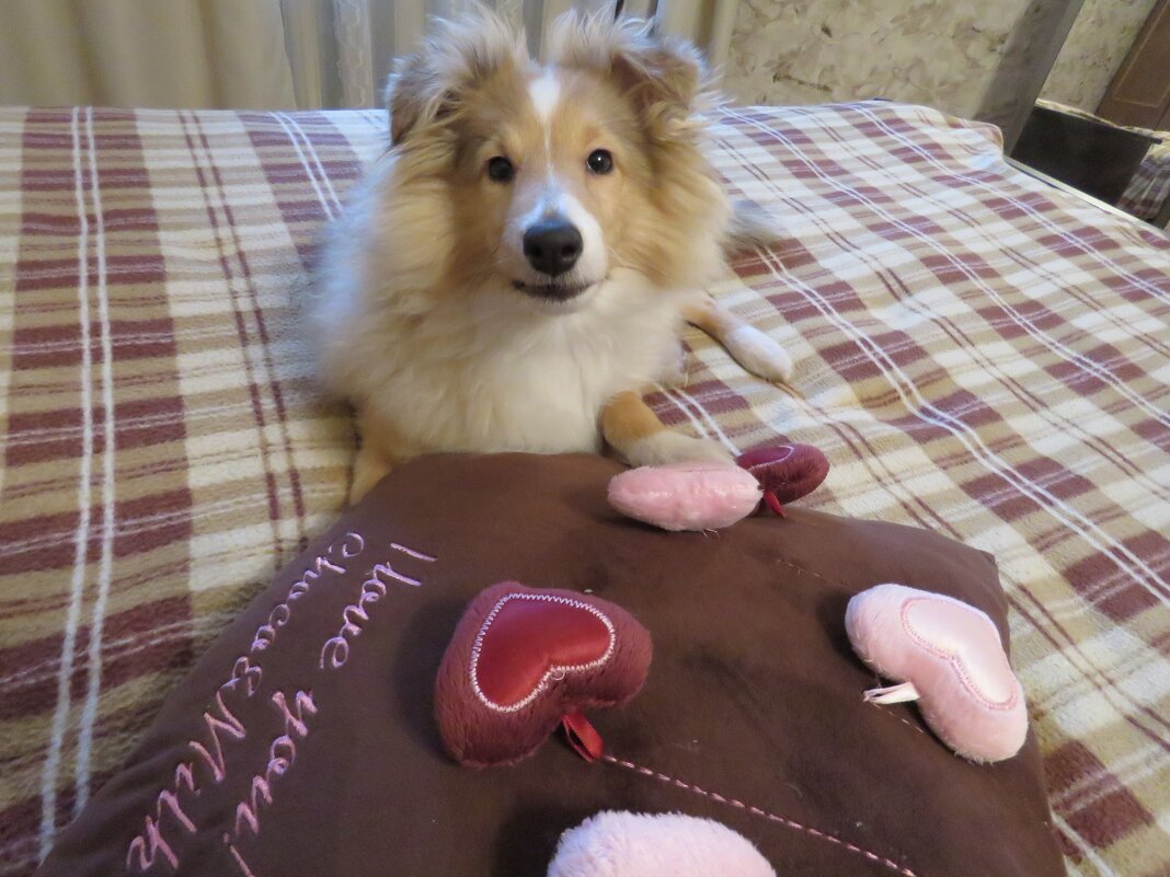 Любимка - Валерия Яскович