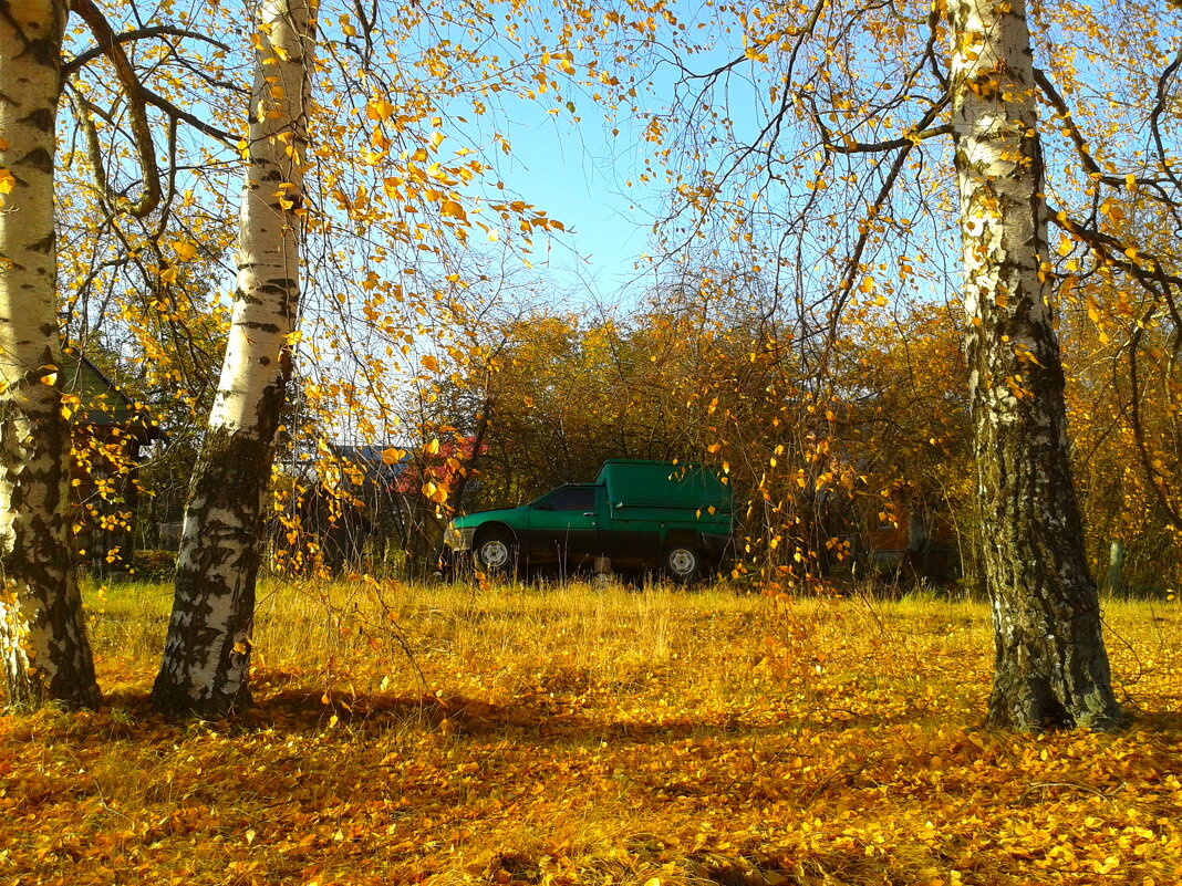 осенний ремонт - Владимир 