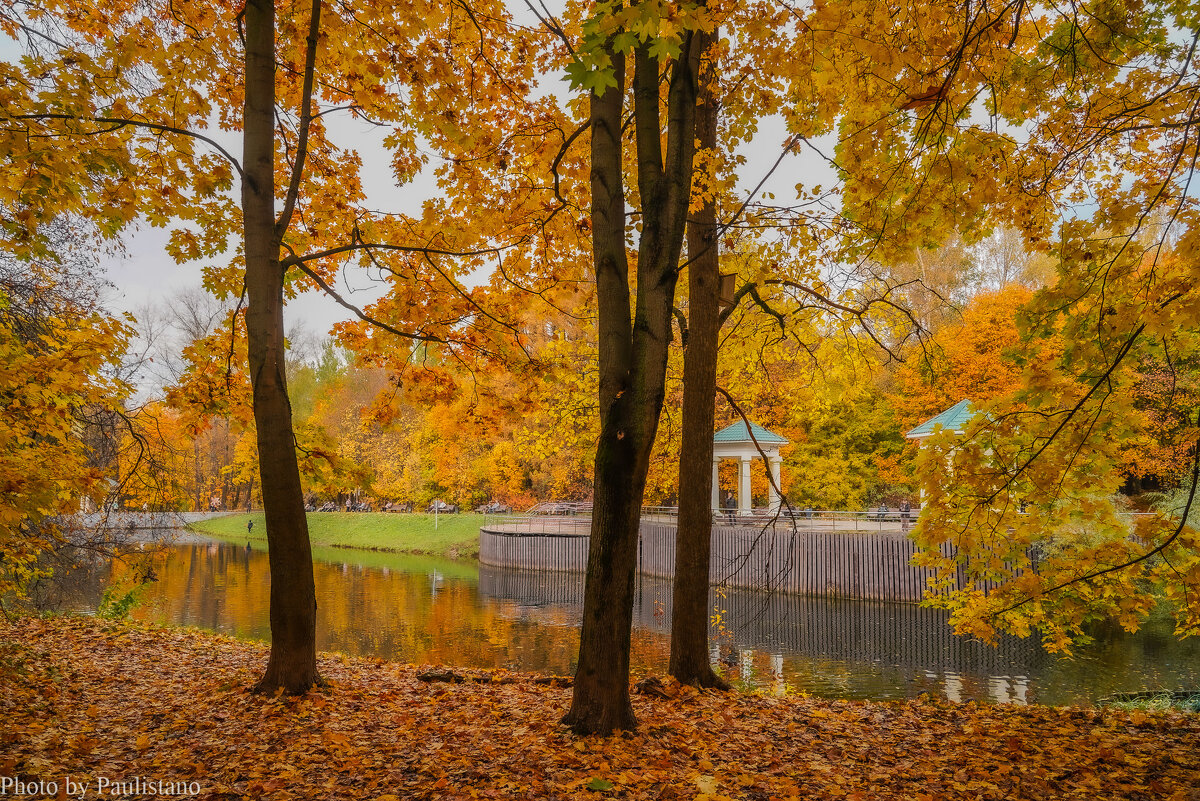 В осеннем парке... - Владимир Жданов