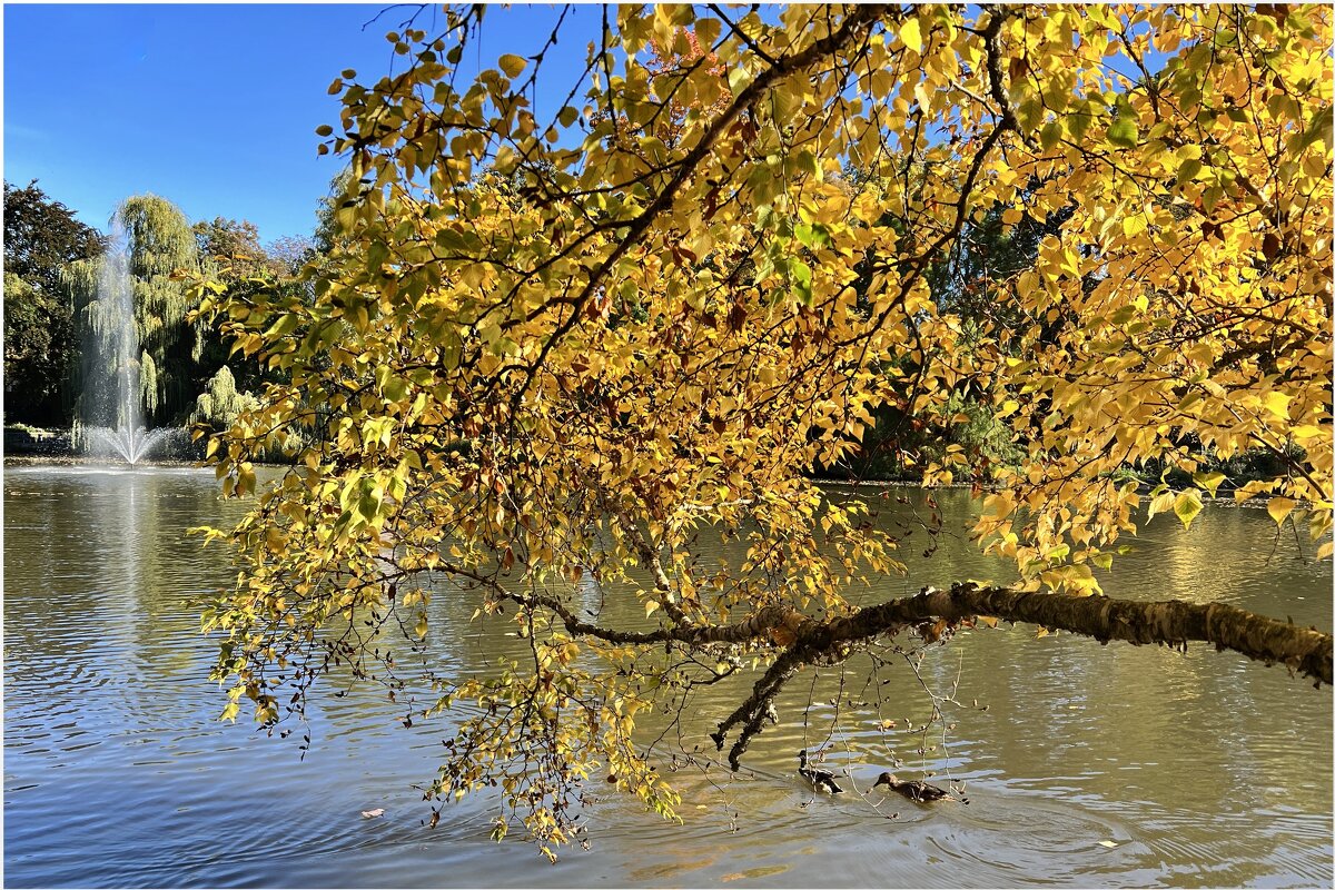 Смотри, как облаком живым Фонтан сияющий клубится; - "The Natural World" Александер