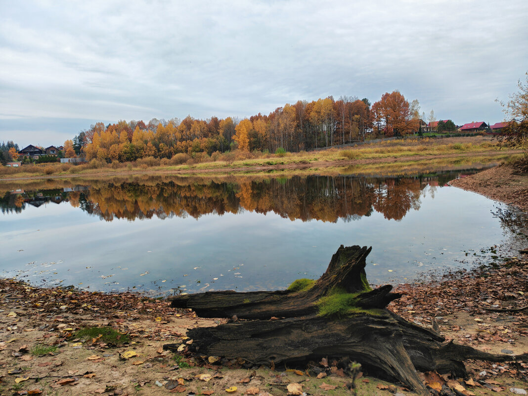 Краски осени - Денис Бочкарёв