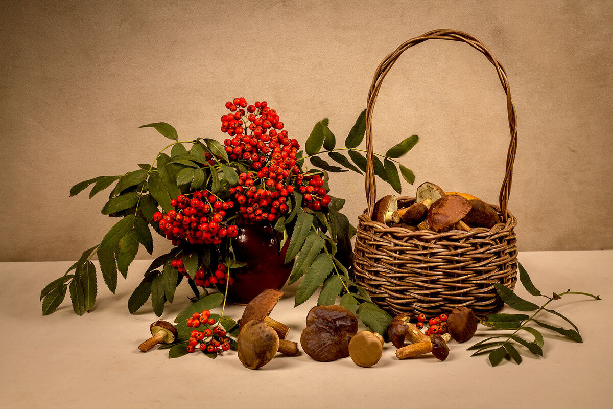 Грибная пора - Людмила Павловна Крышковец