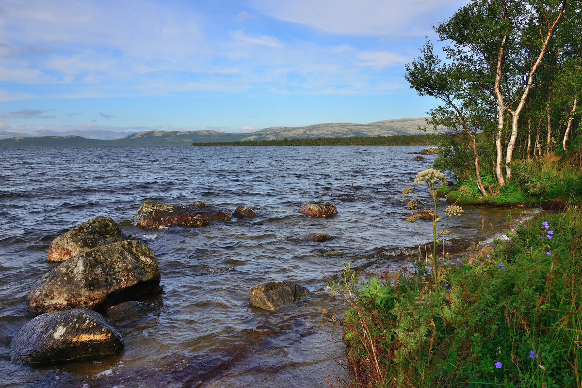 *** - Александр Хаецкий