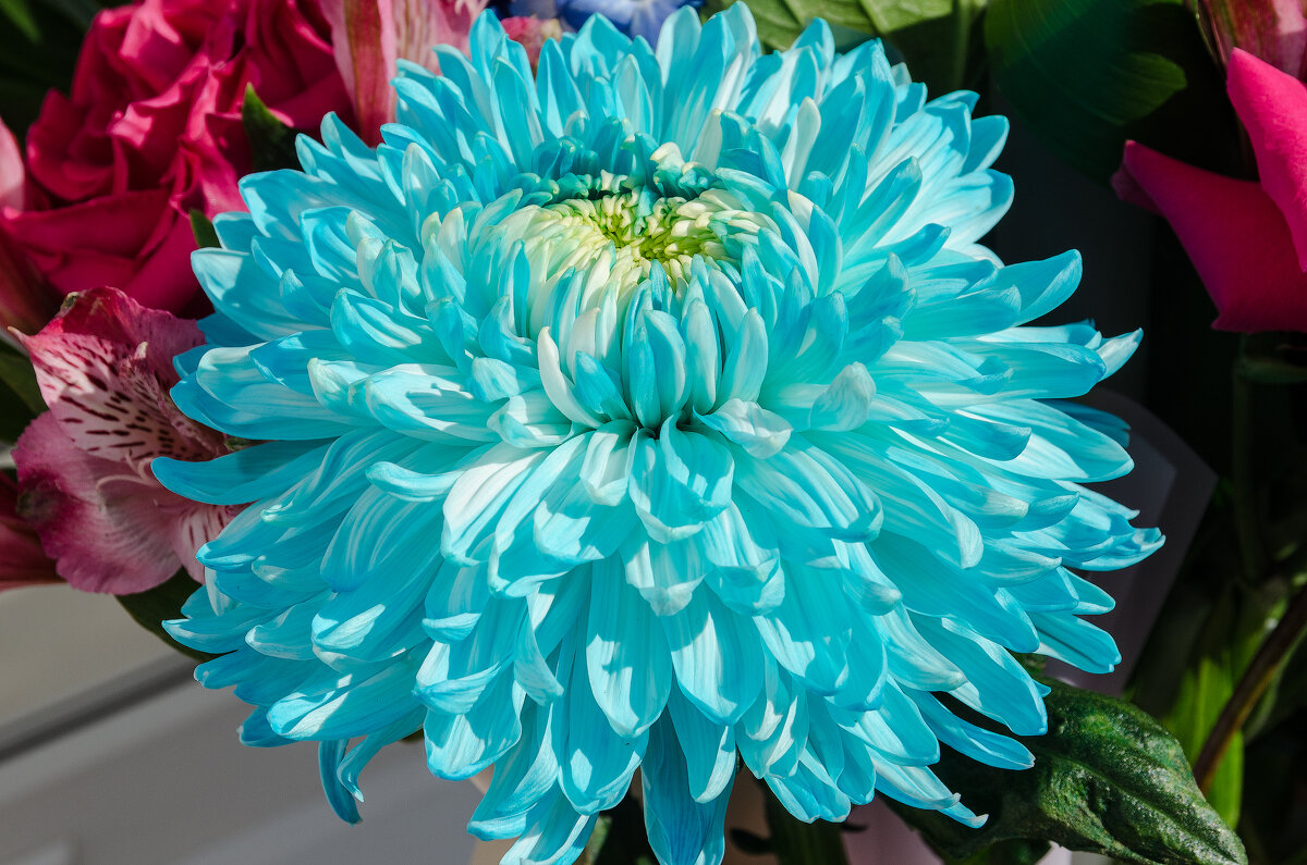 *** - Виктор Иванович Чернюк