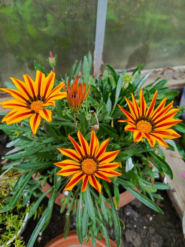 Гацания - Татьяна Пальчикова