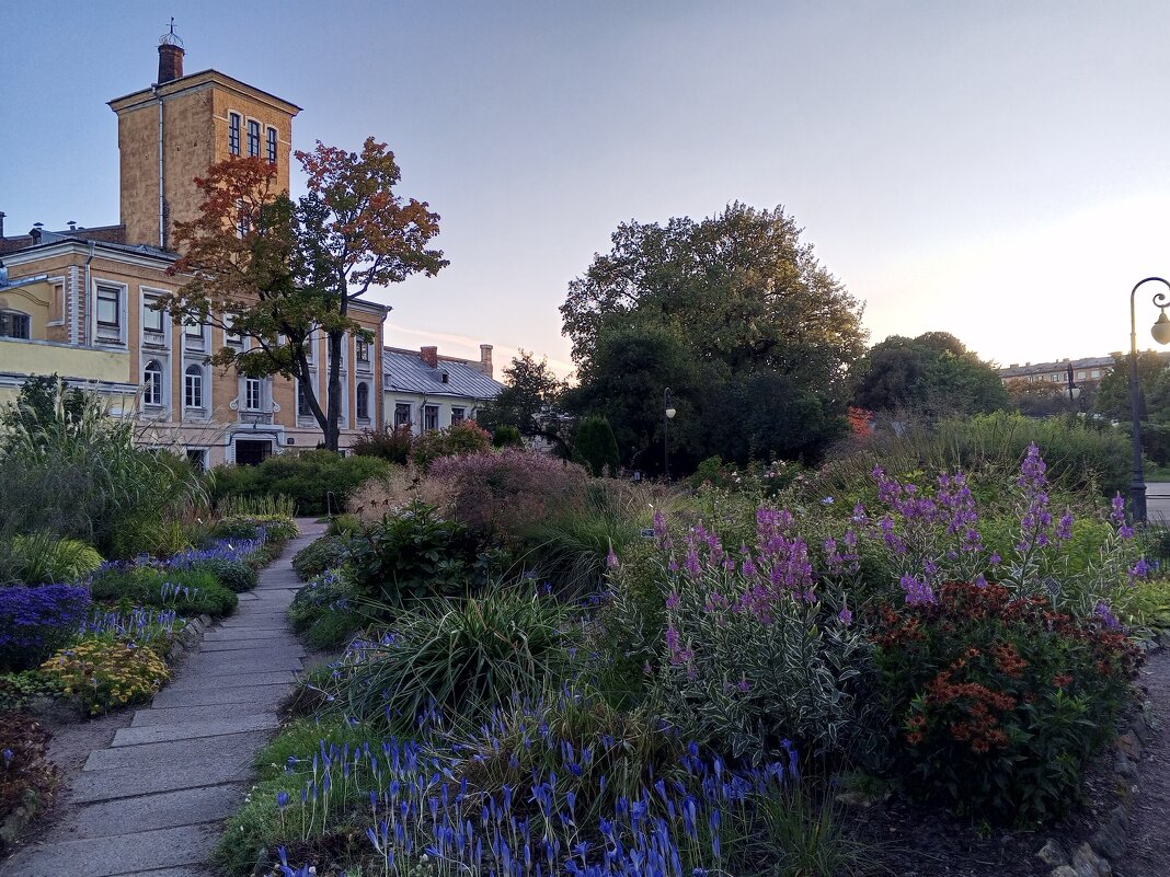 Осень - Сапсан 