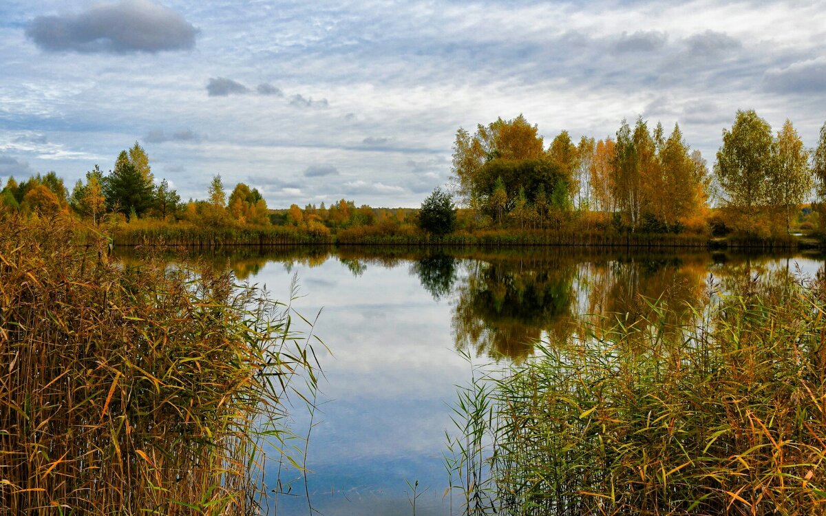 Природа Смоленщины в октябре. - Милешкин Владимир Алексеевич 