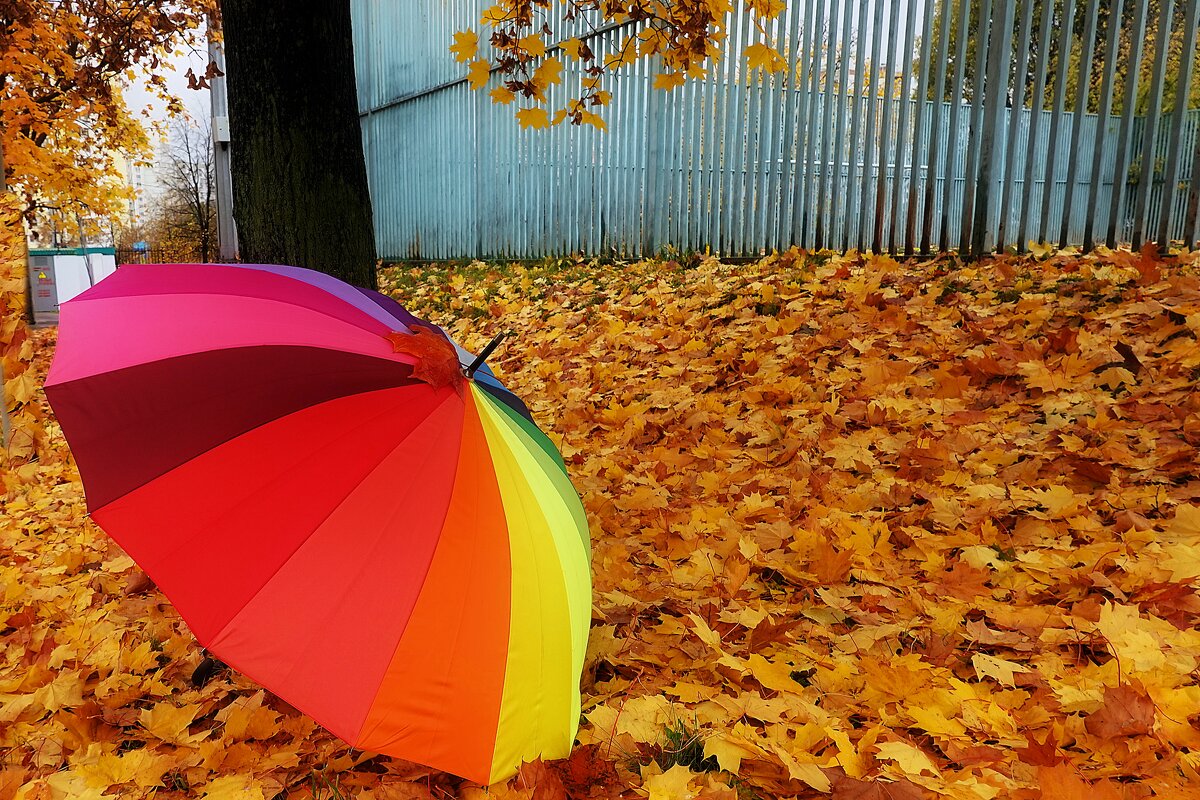 Пока дождя нет. - Татьяна Помогалова