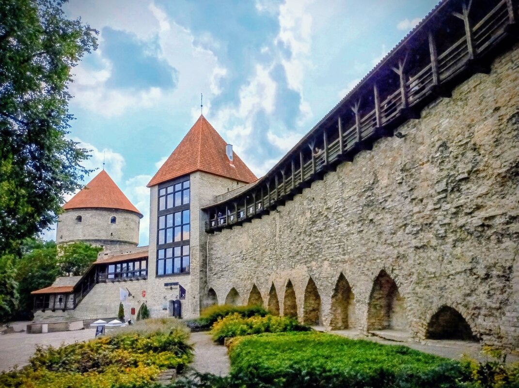 Сад датского короля - Veera V