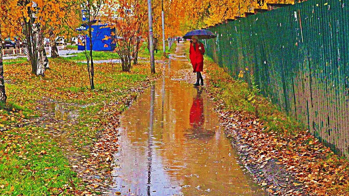 Октябрь...Непроходимая лужа! - Владимир 