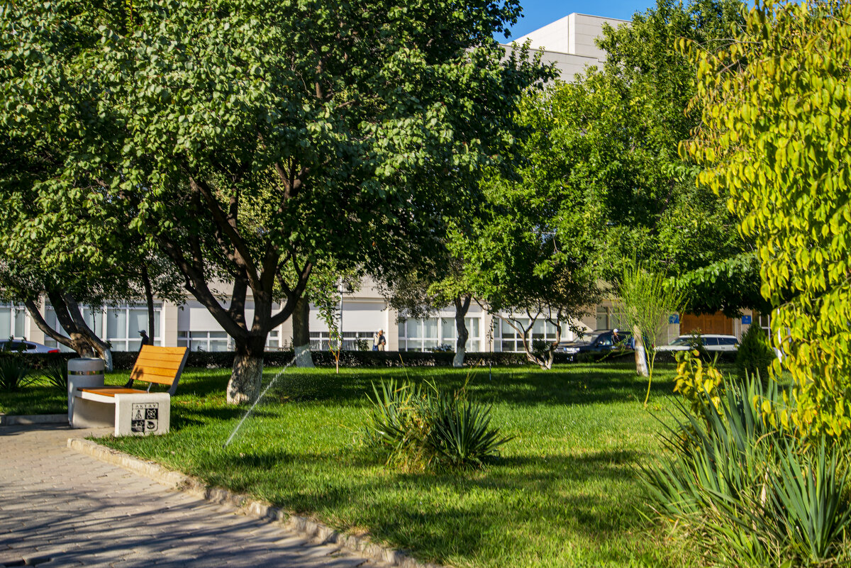 Сквер - Анатолий Чикчирный