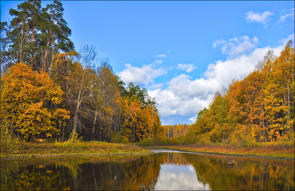 Осень - **** vedin