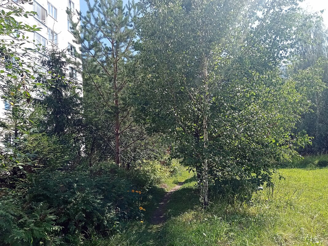 Август. - Владимир Драгунский Август. - Владимир Драгунский