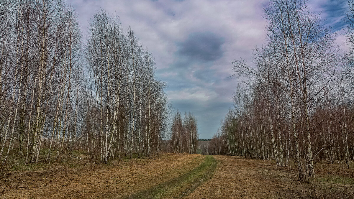 Битцевский лесопарк в Москве - Aleksey Afonin