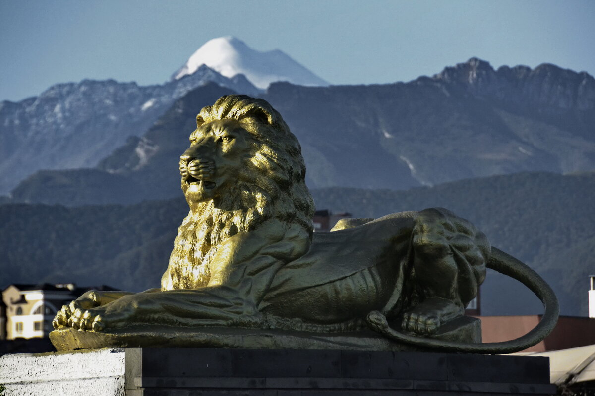 НА ФОНЕ - Юрий Вовк