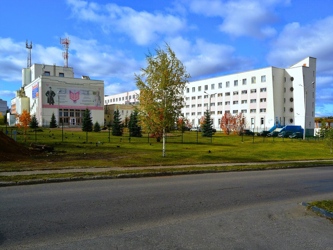 Чебоксары. Чувашский государственный институт культуры и искусств. - Пётр Чернега