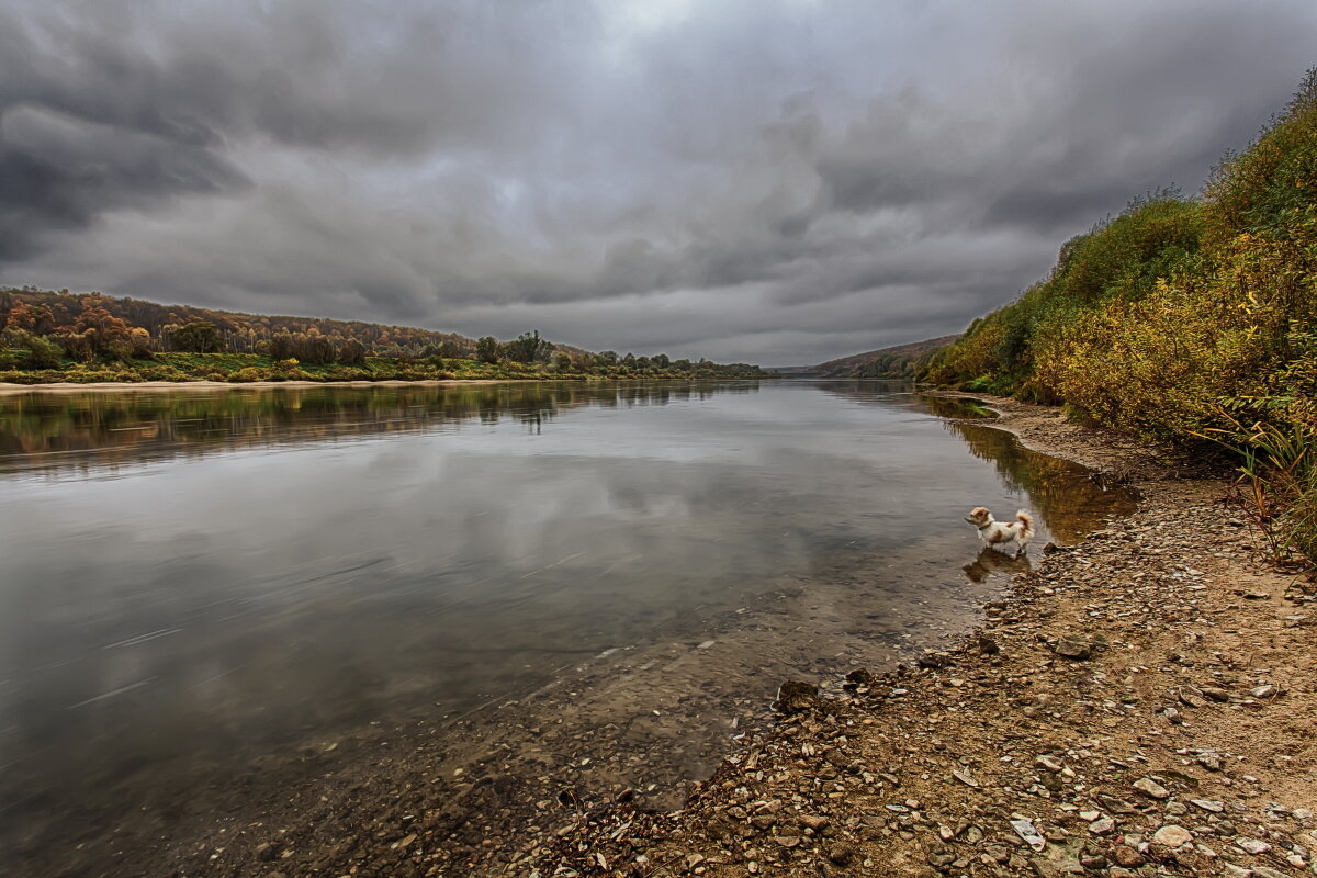 ... а зима будет большая, вот, гляди-ка, за рекой осень тихо умирает, машет желтою рукой ... - Дмитрий Сундеев