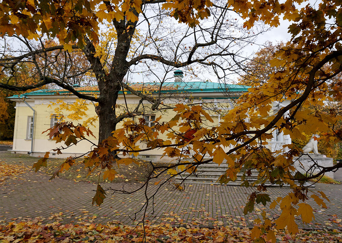 Облетают - Лариса Корж Облетают - Лариса Корж