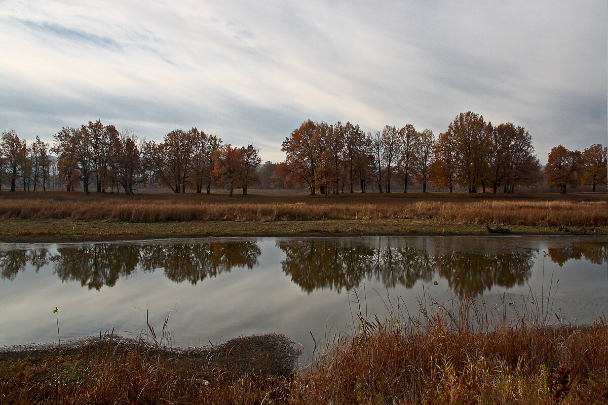 Уже октябрь на дворе - MILAV V