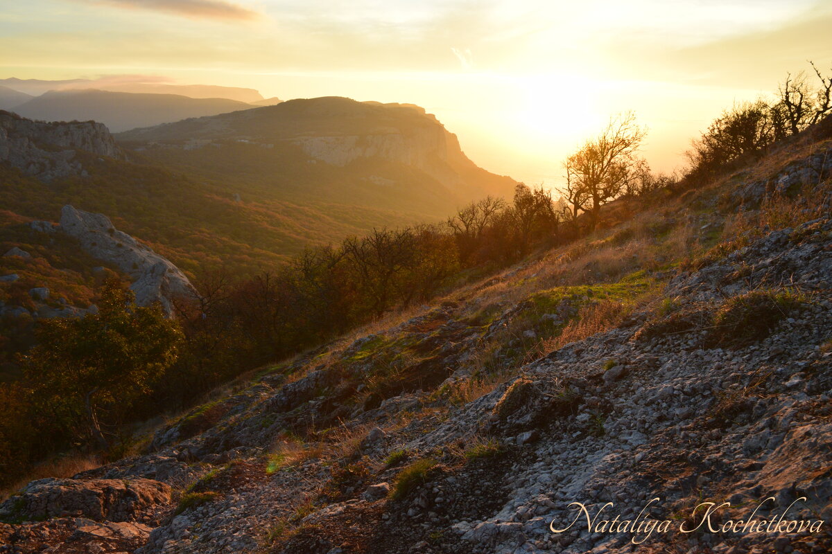 Природа Крыма - Amazing Cosmea
