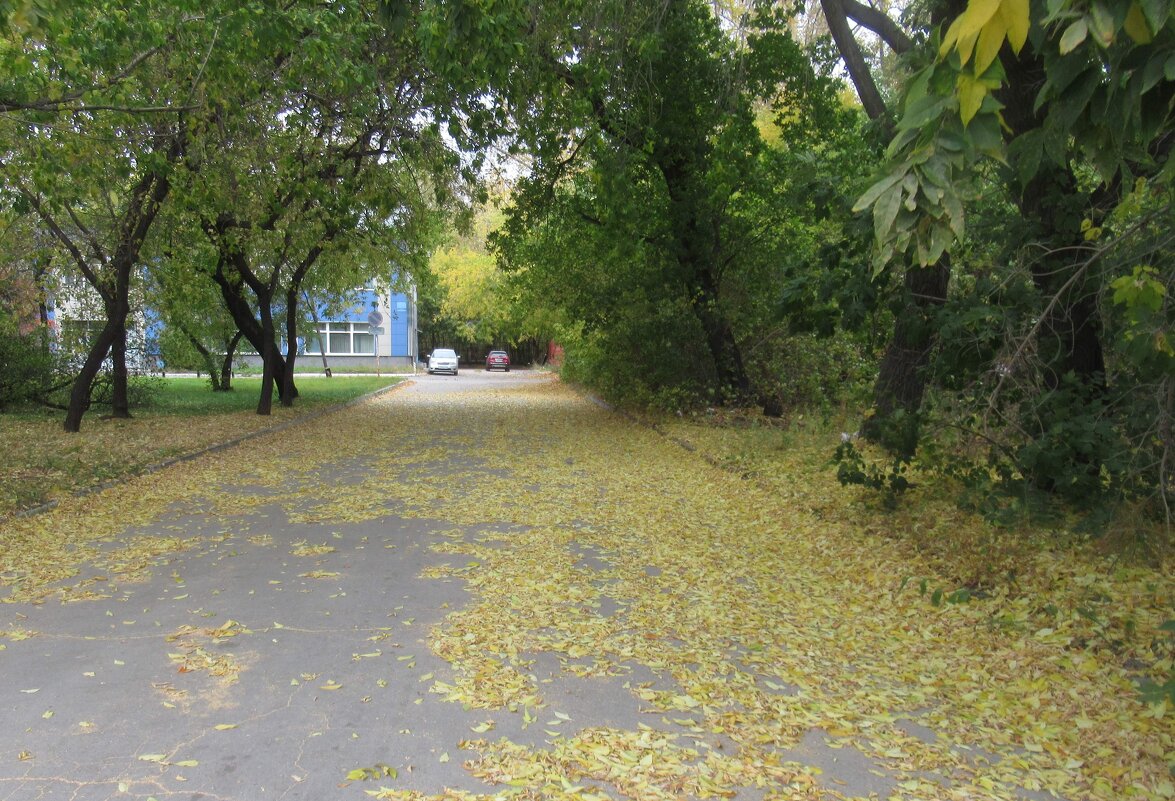Осень в городе - Андрей Макурин