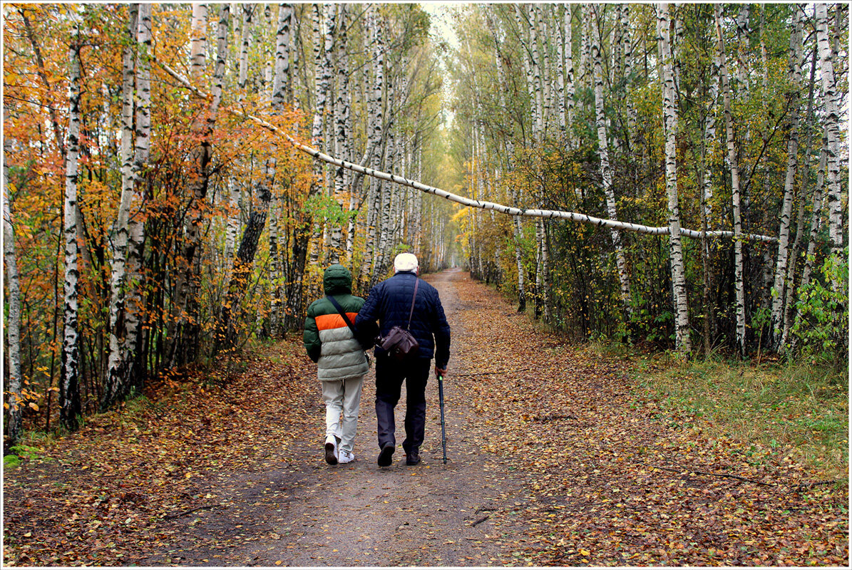 Очередная осень.... - Aleksandr Gal