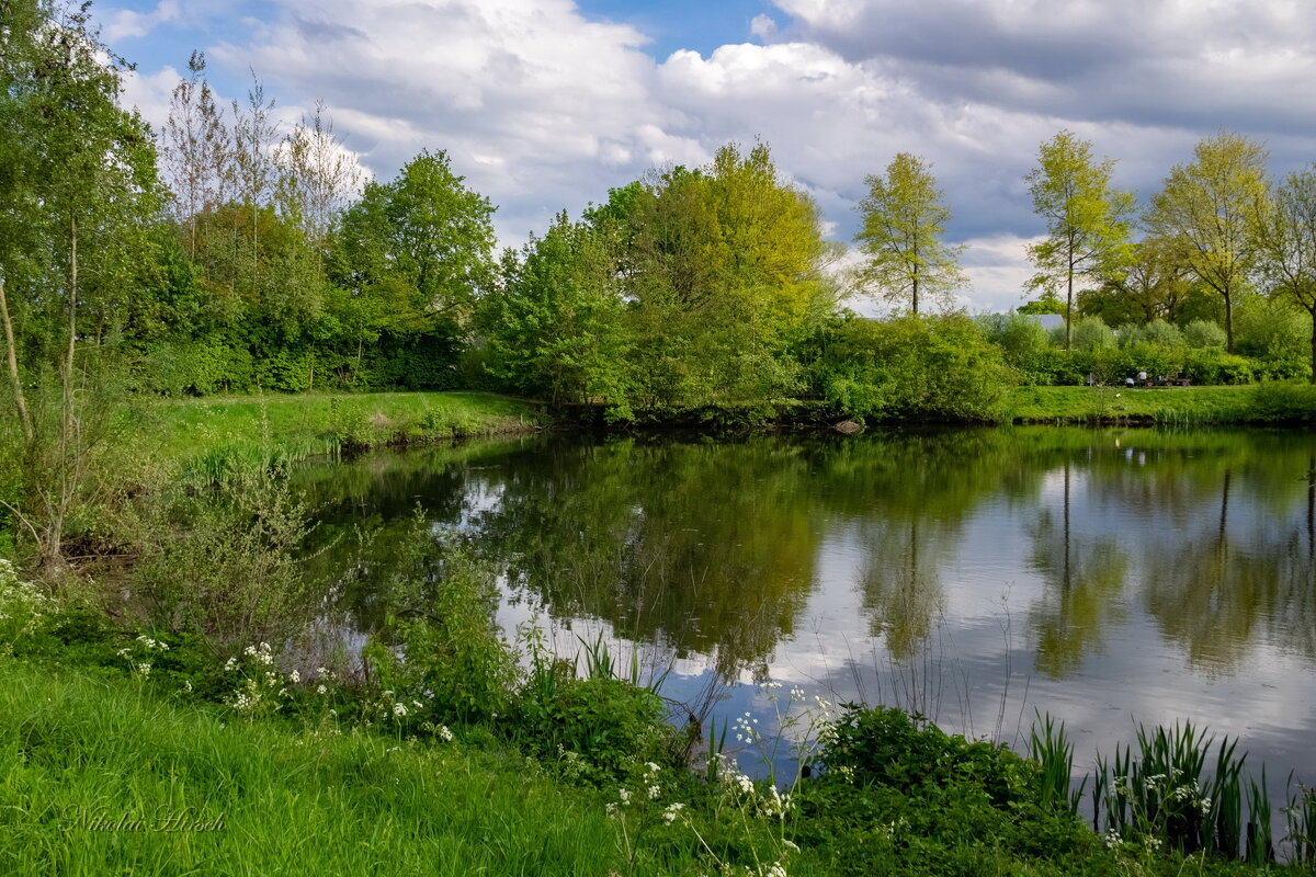Апрельское... - Николай Гирш
