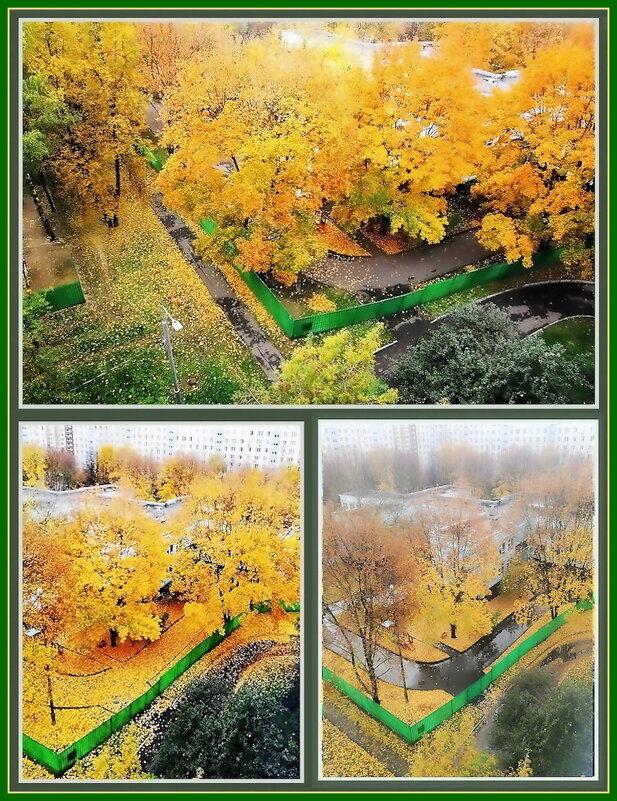 Осенние зарисовки - Ольга Довженко Осенние зарисовки - Ольга Довженко